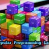 Most Popular Programming Languege