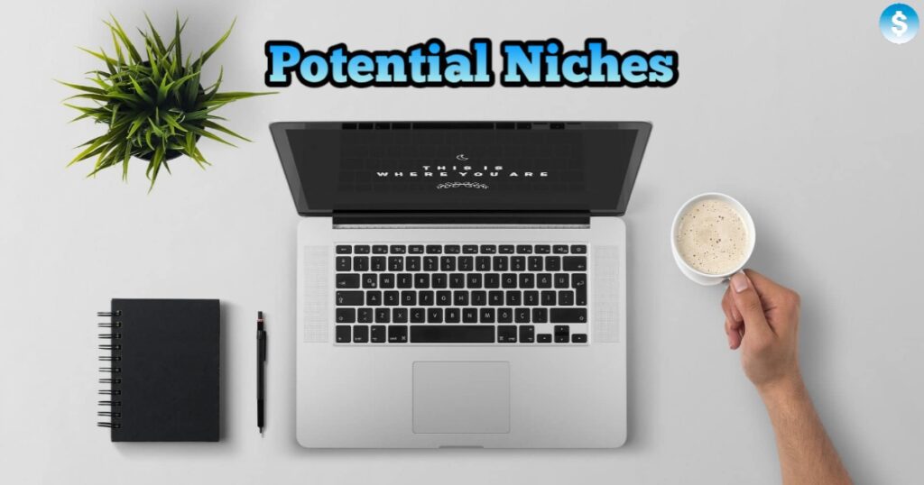  Niche Ideas and Their Potential